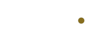 BRNDS21 Logo
